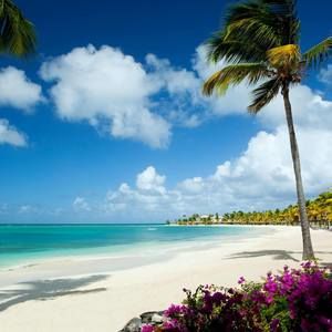 Meet your Posher, Meg